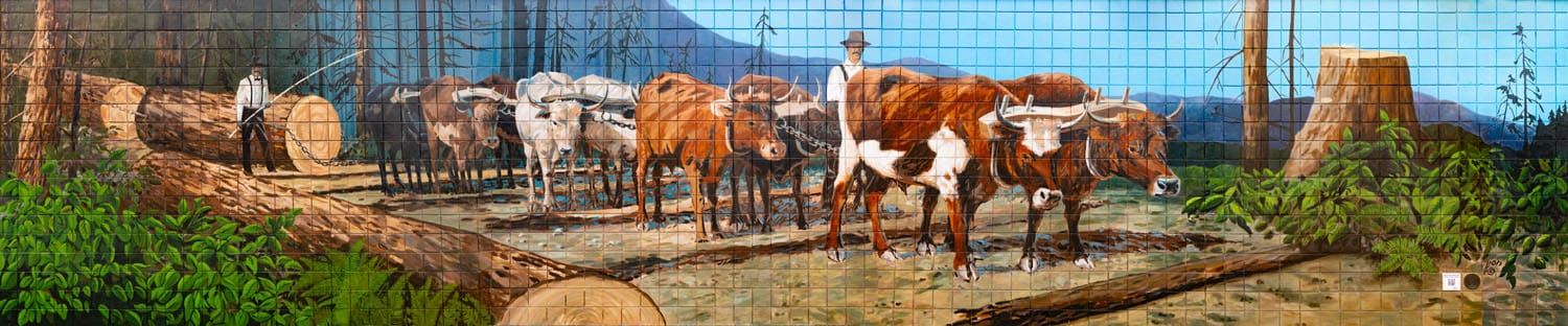 Oxen pulling logs in forest