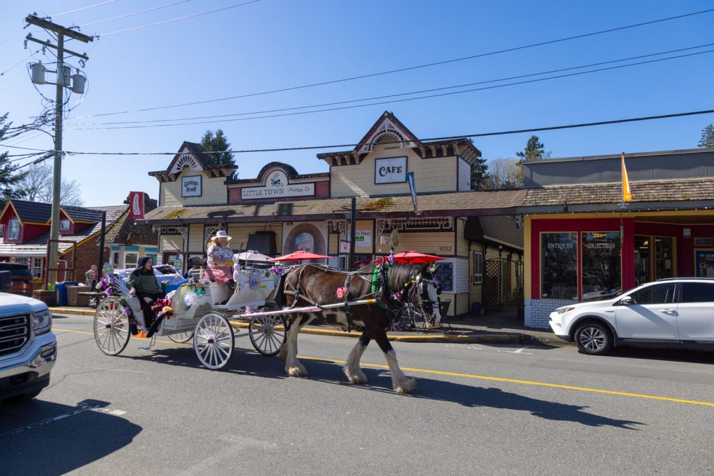 Horse-drawn carriage in town street.