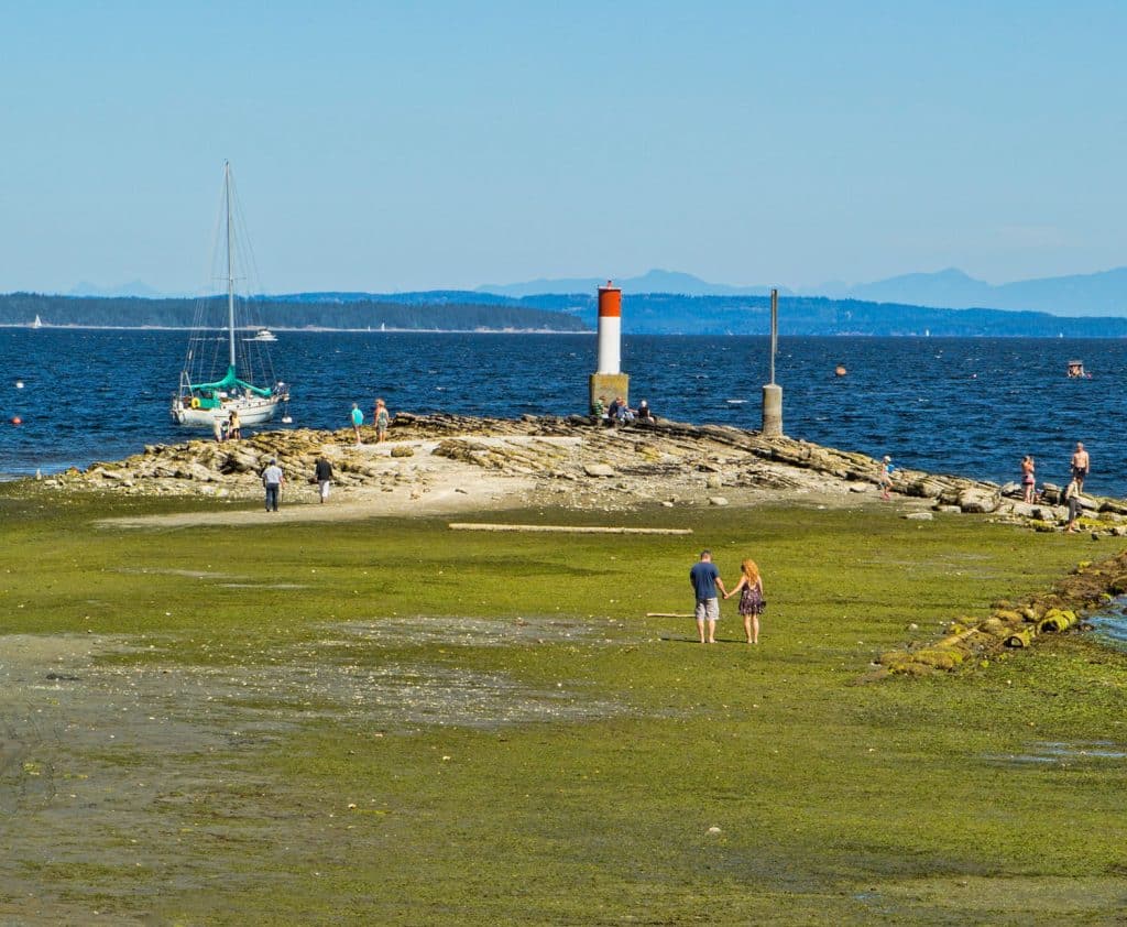 People walking on rocky beach